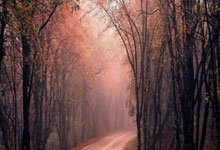 股票加杠杆利息是多少:股市上杠杆需要什么条件-全球首例！更微创的介入式脑机接口助力偏瘫患者恢复运动